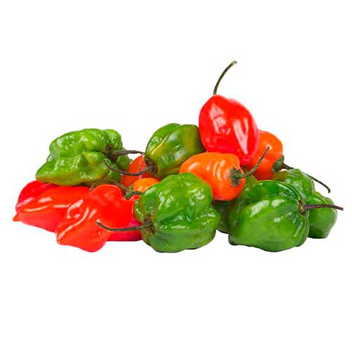 Aji Dulce  250g
