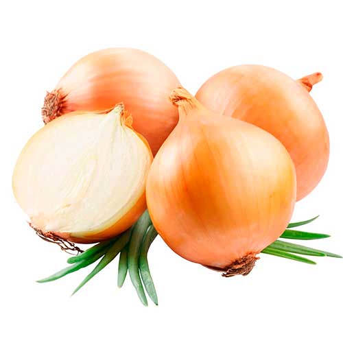 Cebolla Blanca de 3-4 und 450g a 500g