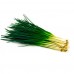 Cebollin de 250g a 350g