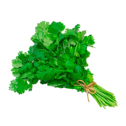 Cilantro Ramo de 200gr