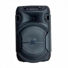Corneta Amplificada Technical Pro 8 1000 Watts Usb Bluetooth Led