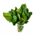 Espinaca Italiana 400g