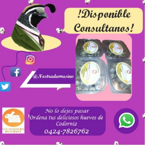 Huevos de Codorniz y Carne de Codorniz