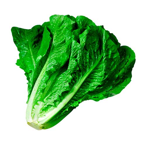 Lechuga Romana 700g