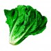 Lechuga Romana 700g