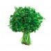Perejil Liso 200g