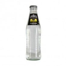 Soda Botella Evervess 250cm3