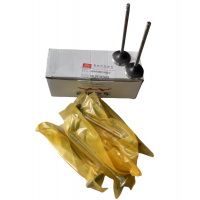 Valvula De Admision Tiggo 2.4