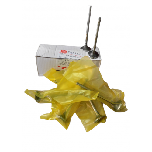 Valvula De Escape Orinoco