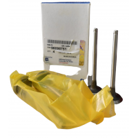 Valvula De Escape Paq.4 Corsa-Cielo 1.5