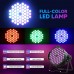 BETOPPER Luces de DJ DMX activadas por sonido, 54 x 3 W, par luces LED RGB para escenario DMX, luces de DJ par para iglesia, concierto