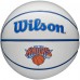 WILSON NBA Alliance Series - Balones de baloncesto con logotipo del equipo,  tamaño mini