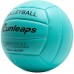 Runleaps - Voleibol impermeable para interiores y exteriores, para juegos de playa, gimnasio, entrenamiento tamaño oficial 5