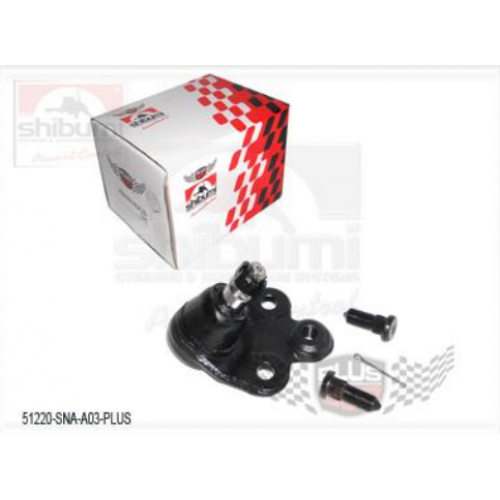 Muñon Inferior Honda Civic Emotion (Der)