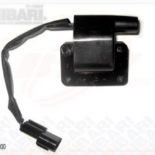 Bobina Encendido Hyundai Atos Kia Picanto