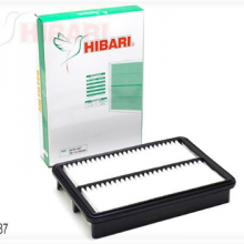 Filtro Aire Hyundai Elantra Tucson 2.0 Kia Sportage 2.0