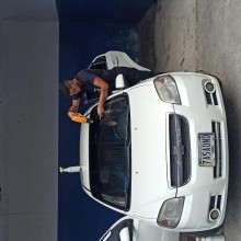 Autoperiquitos  Papel Ahumado para su Vehículo, Casa, Empresa, Rotulaciones...