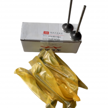 Valvula De Admision Tiggo 2.4