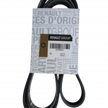 Correa Unica Regnault Clio Megane Symbol