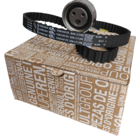 Kit De Tiempo Regnault Logan Symbol Clio Sandero Scenic 8V 96 Dtes