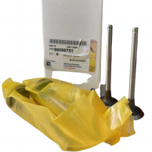 Valvula De Escape Corsa Cielo 1.5